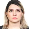 Monir mirfeyzi