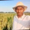 Kumar amit
