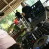 Deejay Dark Rose