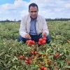 Ahmed Akila