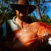Jeffrey Hitchcock