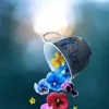 Zineb Hamza