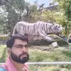 Ankit Kumar