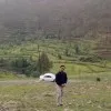 Dinesh Chandra