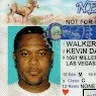 Kevin Walker