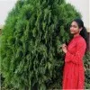 Priya Thiyagarajan