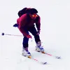 Harsha