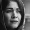 Shaghayegh Hosseinzadeh