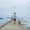 Pengfei Chen