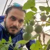 Mostafa Elsayed