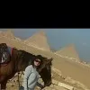 khema DiCaprio