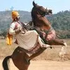 Manjunatha Dsk4