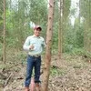 satya hermawan
