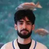 Hassanain Al