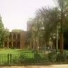 Hafsa Ibrahim