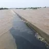 Solanki Vishnu Solanki Vishnu