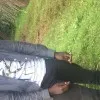 njenga michael
