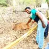 Gopinath Rajaveerappan