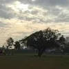 Shaoting Chang
