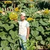 engmohamed aboalgeehit