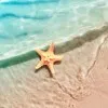 Deniz 
