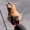 Ccc Nnn