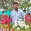 manoj kumar