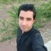 Spin Gul