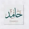 Hamed El Kalfat