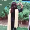 Laiba Ameen