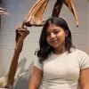 Vandana Shree