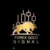 FOREX gold trader