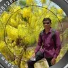 Prakash Sable Khobar