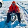 Mike Kuperis