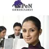 Aspen Consultancy