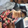 Jerry Babu