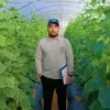 Mahmoud Mostafa