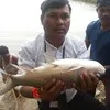 Sachin Tayade