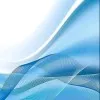 Bushra Moulana