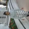 Samantha hobyane