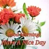 rima roy