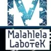 Malahlela LaboTek