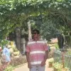 Dhanasekar Dhanasekar