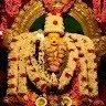Sarnitha Sree