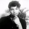 Yash Sharma