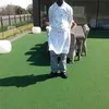 nthubiseng Gilbert
