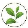 IIFSH Food Safety
