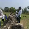 Ankit Kumar