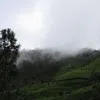 Kasun Kohona