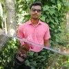 sagar